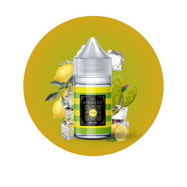 E-LIQUIDE CITRON CACTUS N&#176;1825